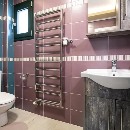 Zamor Family 2 Сasa de vacaciones Romírion