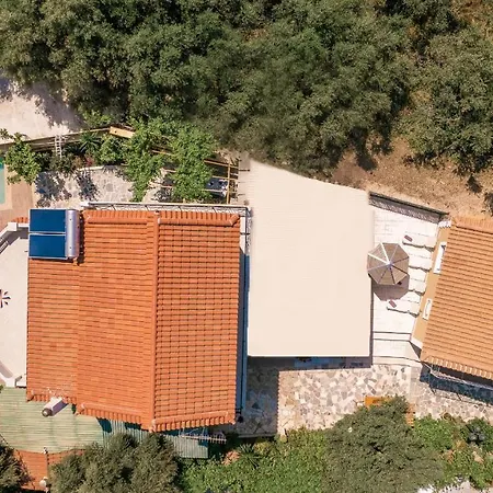 Zamor Family 2 Ρομίρι