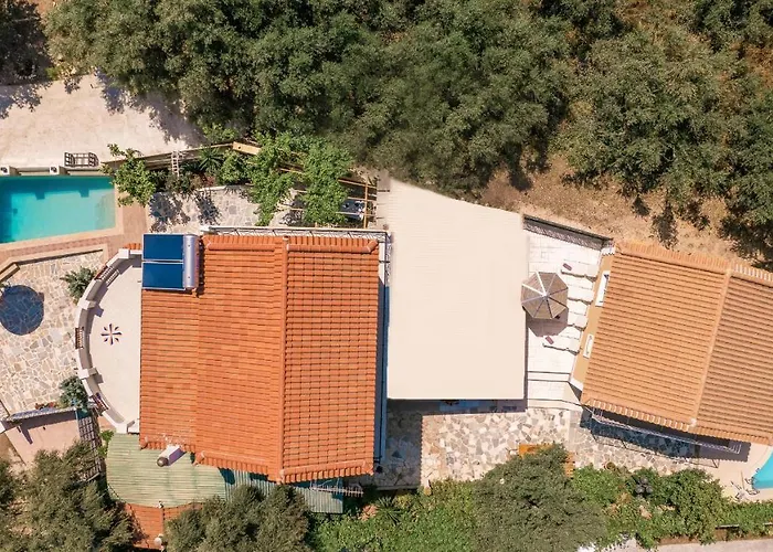 Zamor Family 2 Romírion